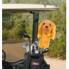 Cocker Spaniel, Does Not Apply