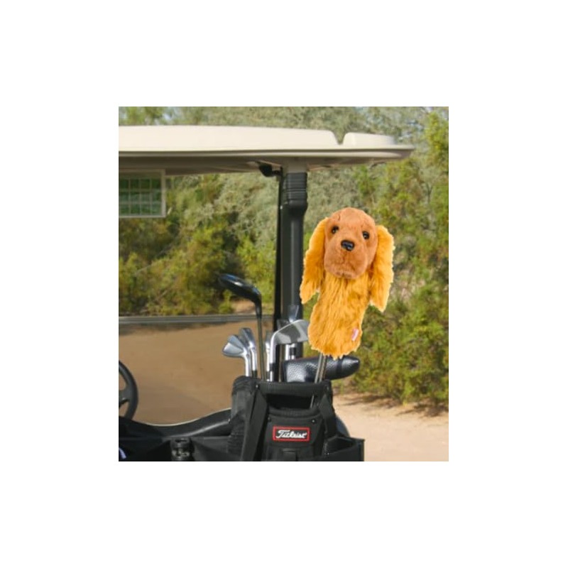 Cocker Spaniel, Does Not Apply