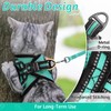 rabbitgoo Cat Harness and Lead Set for Walking Adjustable Soft