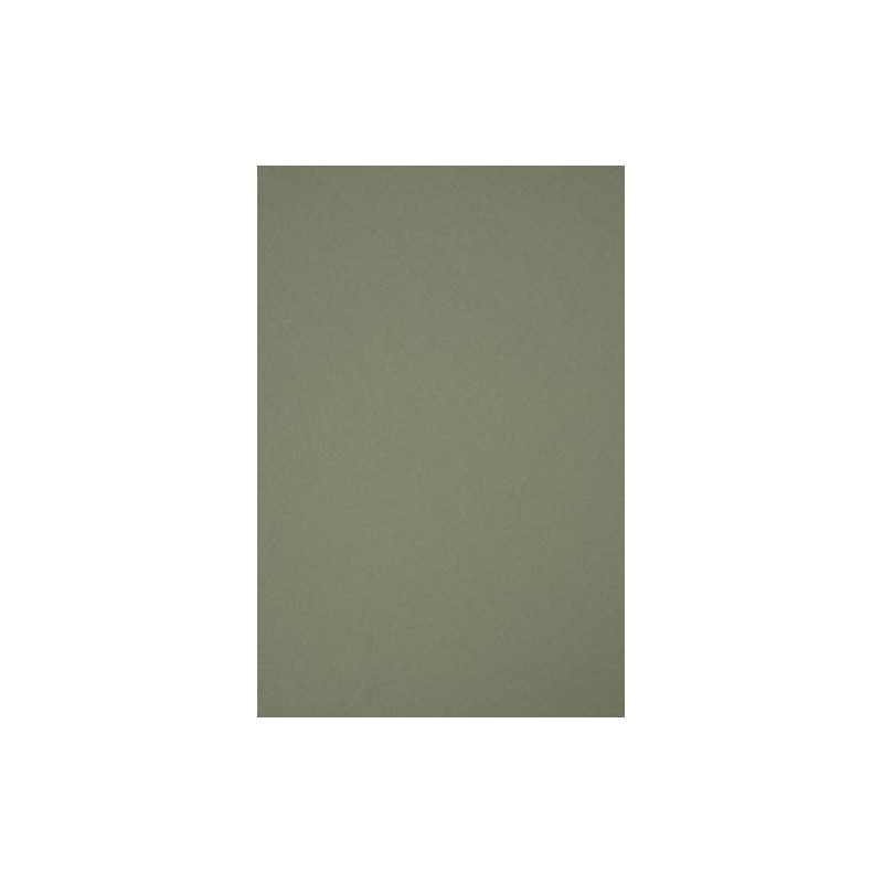 Netuno 10 x Natural Cardboard Olive Green DIN A4 210