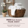 Mrs. Meyer's Clean Day Laundry Scent Boosters, Honeysuckle Scent, 18oz