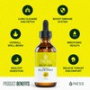 1ness Mullein Drops for Lungs Cleanse - Organic Mullein Leaf