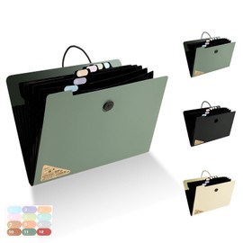 Elezeal Expanding File Organiser - 13 Pocket Accordion Document Holder Bag Organiser with Elastic Closure A4 Expanding File Folder for Paperwork, Receipts, Invoices, Bills, Documents(Green)