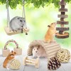 Hsthe Sea 10 Pcs Hamster Chew Toys, Gerbil Rat Guinea
