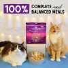 Stella & Chewy's Freeze-Dried Raw Cat Dinner Morsels - Salmon