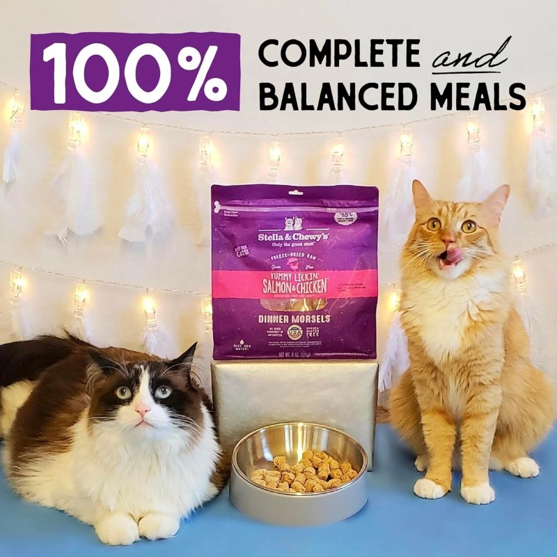 Stella & Chewy's Freeze-Dried Raw Cat Dinner Morsels - Salmon