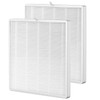Ontheone E-300L True HEPA Replacement Filter Compatible with MOOKA and