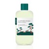 ROUND LAB [ROUND LAB]For Men Pine Calming Cica Lotion 200ml