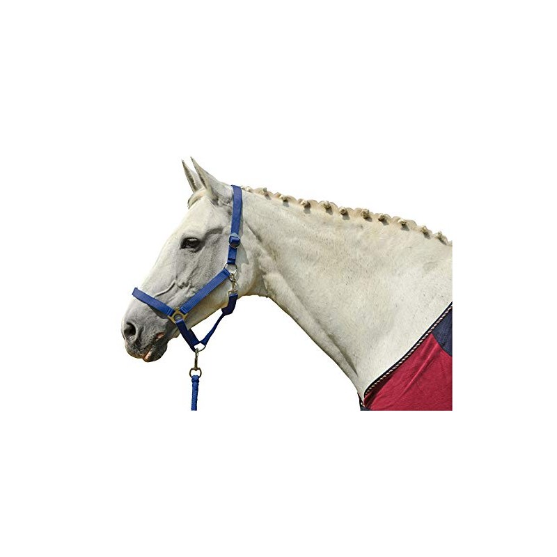 HKM 4000315475193 Star Knitting with Carabiner Hook 9100 Black 180