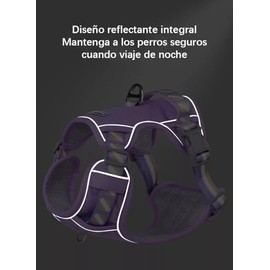 Arnés para Perro con Correa- Arnés Pechera para Perros, Antidesgarro, Ergonómico, Reflectante y Transpirable (Negro, XXS)