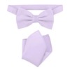 Vesuvio Napoli BowTie Solid Lavender Purple Color Mens Bow Tie