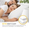 DreamNorth Premium Gel Pillow Loft (Pack of 2) Luxury Plush