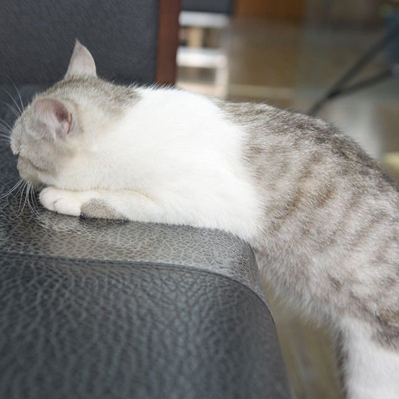 10Pcs Cat Scratch Furniture Protector Transparent PVC Cat Scratch Furniture