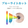 Sharp Electronic Dictionary Brain PW-S2 / PW-H2 / PW-B2 /