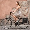 Pannier Bike Basket with Handle - Detachable Rear Wire Baskets