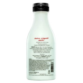 TEENOLOGY Shampoo for Teens - Avoid Forehead Acne and Breakouts - No Sulfates or Parabens, Noncomedogenic, Natural Botanical Extracts, 16 oz. (Blueberry Pomegranate Cucumber)