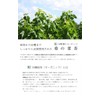 Gabai Farm Organic Cultivation Mulberry Leaf Tea 0.1 oz (3