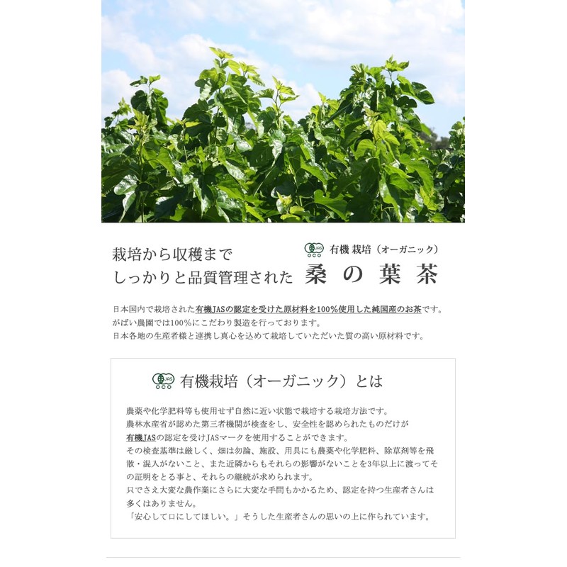 Gabai Farm Organic Cultivation Mulberry Leaf Tea 0.1 oz (3