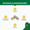 Rhodiola Rosea Capsules Rose Root Extract - High Dose, Laboratory