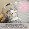 EU SOU Cat Muzzle Anti-Bite Nail Clippers Cat Headgear Mask