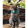 Joytale Upgraded Cat Collar with Bells, Breakaway Cat Collars with