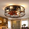Curve Curio 18 Inch Farmhouse Caged Ceiling Fan with Light,