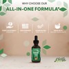 Clean Nutra Plantflow Moringa Drops with Ashwagandha Turmeric Ginger Spirulina
