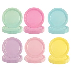 48 Stück Bunt Party Pappteller, Einweg Salatteller Pappteller in Regenbogenfarben, Partyzubehör, Geschirr für Geburtstag, Abendessen, Hochzeit