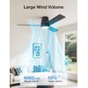 warmiplanet 42 Inch Small Ceiling Fan with Lights and Remote,