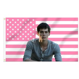 Shmbada Dylan O'Brien 3x5 Foot Decorative Flag with 2 Brass Grommets for Outdoor Indoor, Double Stitched, Wall Hanging Room Decor Tapestry, College Dorm Porch Outside Decorations Teen Wolf