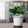 Prosperplast Blumentopf Übertopf inkl. Untersetzer Blumenkübel 34.5 x 32 cm