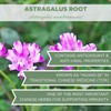 Organic Astragalus Root 4 oz. (113g), USDA Certified Organic Astragalus