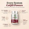 CoQ10 Max 800 mg - Suplemento Alimenticio con Coenzima Q10