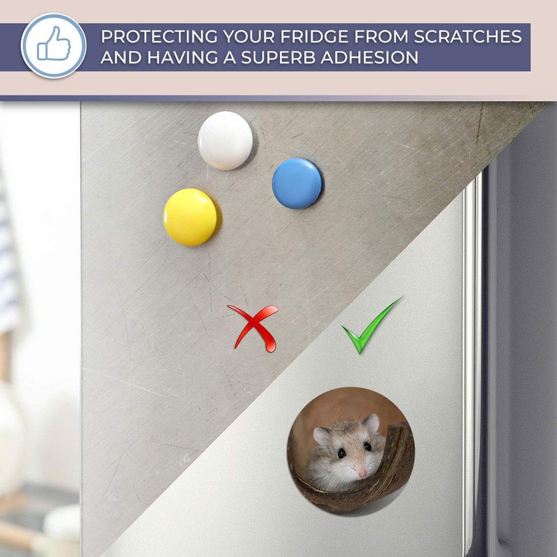 Destination Vinyl ltd Magnet for Refrigerator, Fridge - Cute Little