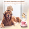 Sunia Memorial Dog Gift - Glass Angel & Dog Figurine