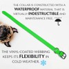 Regal Dog Products Medium Light Green Waterproof Dog Collar and