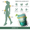 Primal Harvest® Collagen Powder – Bioactive Hydrolyzed Peptides | Grass-Fed,