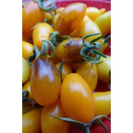 J&L Gardens Llama de Vela - shaped like flickering candle flames!