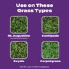 Scotts Turf Builder Bonus S Southern Weed & FeedF2 -