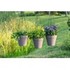 Melphoe Hanging Planter for Indoor Plants Self Watering, 8 Inch