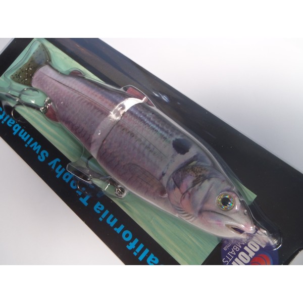 Morone Swimbaits Shine Shad 2 Thredfin Striper swimbait fishing Glide