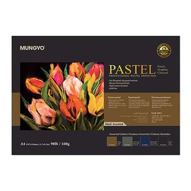 MUNGYO Professional Pastel Paper Pad A4 Size for Oil Pastel, Dry Pastel 30 Sheets (Dark Assorted)