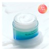 Goodal 구달 어성초 히알루론 수딩 크림 75ml Goodal Mugwort Hyaluronic Soothing Cream 75ml