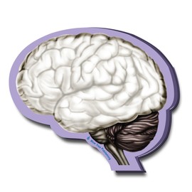 Brain Sticky Notes, 4 Packs-100 Sheets Per Pack