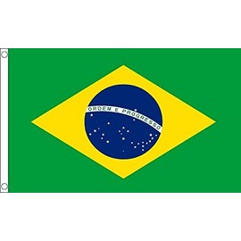Flagtex Brazil Flag 8ft x 5ft - Brazilian Flag Large with Two Metal Eyelets, Brazil National Flag Made from Durable 100% Woven Polyester, Ideal for Indoor and Outdoor Display