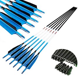Linkboy Archery Carbon Arrows Hunting Practice Target Arrows Fluorescent Blue with Removable Tip for Compound Recurve Long Bows, Spine 400/30inch, Pack of 12PCS