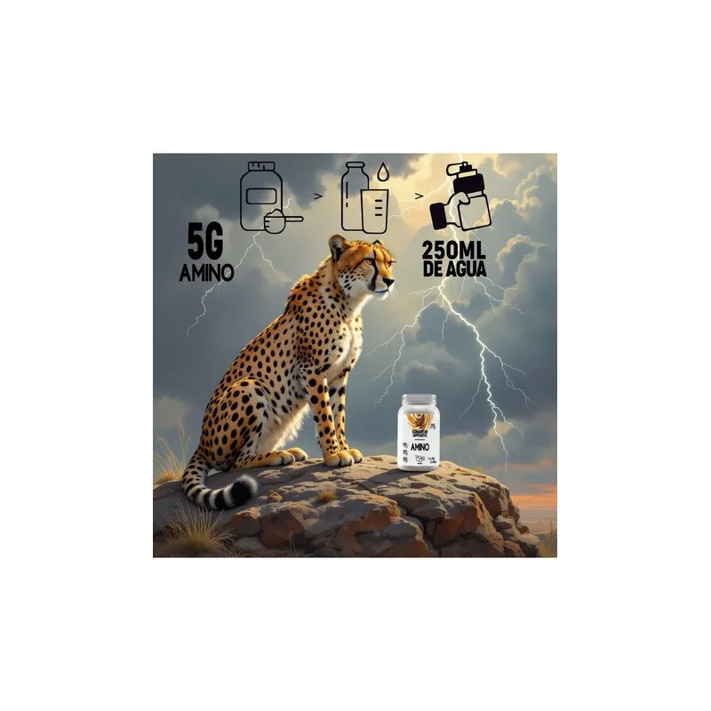 Aminoácidos Stormcheetah 1kg Suplemento Enpolvo 200servicios