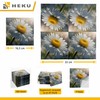 HEKU 100 napkins, 3-ply, 33 x 33 cm, daisies, absorbent