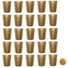 THE MARDI GRAS KREWE Metallic Gold Plastic Party Cups, Pack of 25, Blank 16 oz Stadium Cups