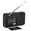Portable Digital Audio Player HiFi Music Speaker Support FM Radio